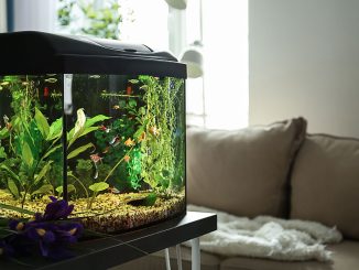 aquarium energiekosten sparen