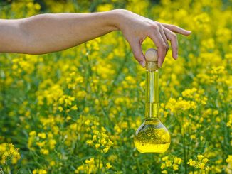 mit pflanzenoelen sparen